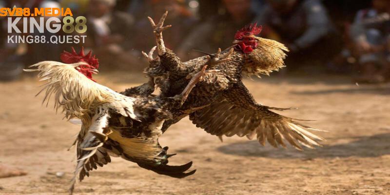 Phong cách tấn công từ đôi mắt