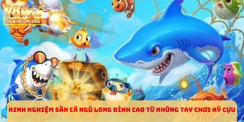 Kinh nghiệm săn cá Ngũ Long đỉnh cao từ những tay chơi kỳ cựu