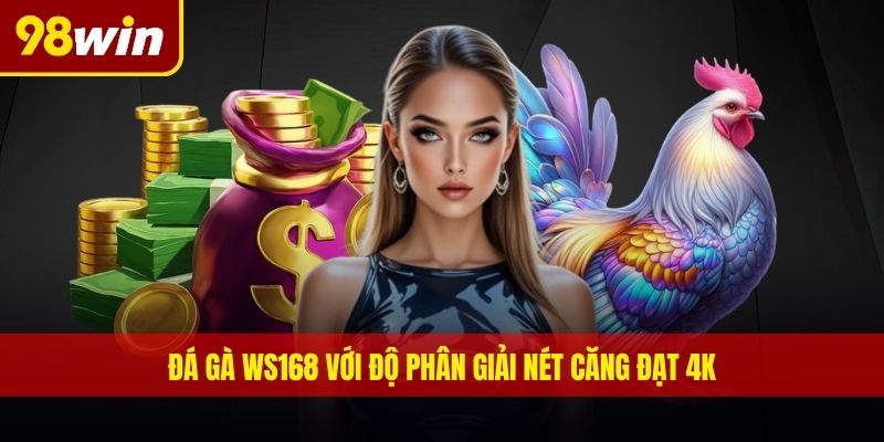 Đá gà WS168 với độ phân giải nét căng đạt 4K